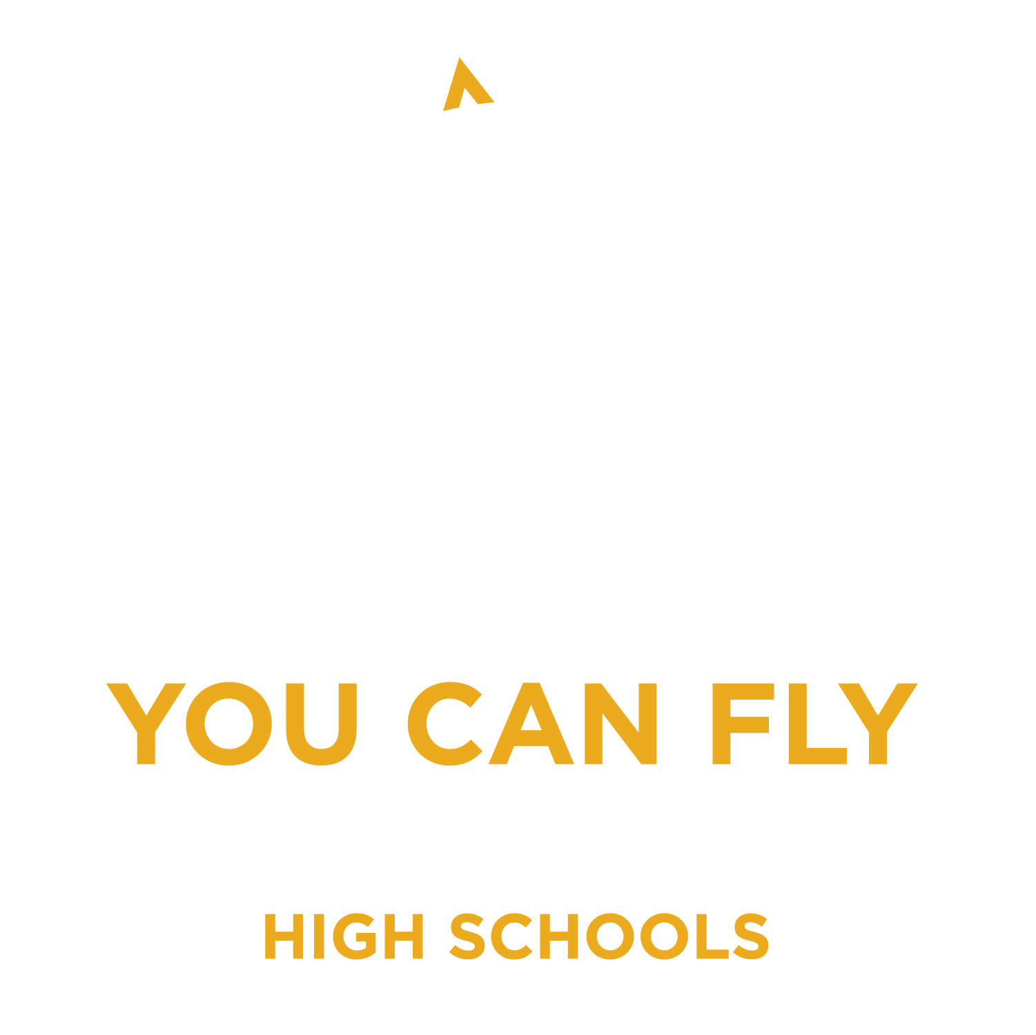 AOPA High School Aviation STEM Curriculum